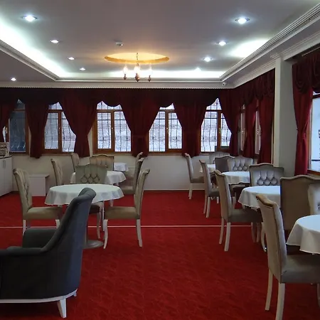 Hotel Arakonak Termal Bursa